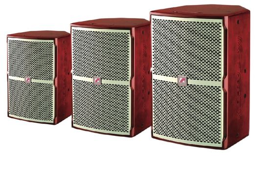 Ultra Strong Low Frequency KF Series KTV loa 45Hz-20KHz 250W 300W 400W âm thanh phức tạp khác nhau